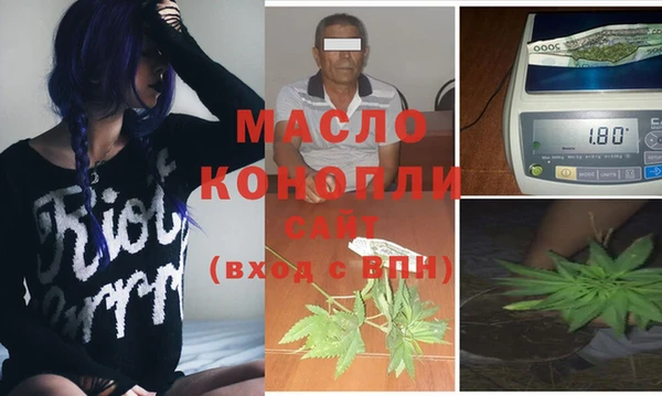 гидра Арсеньев